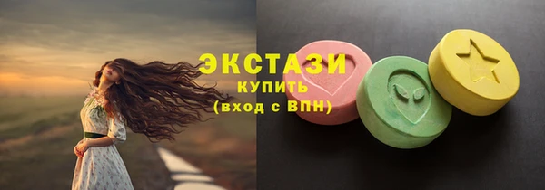 ECSTASY Краснослободск