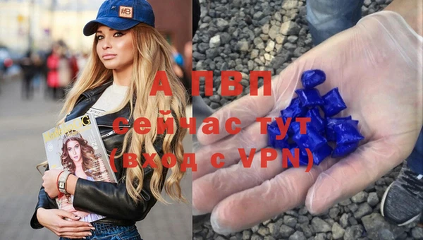 ECSTASY Краснослободск