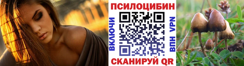 Купить Новая Усмань Псилоцибиновые грибы Magic Shrooms
